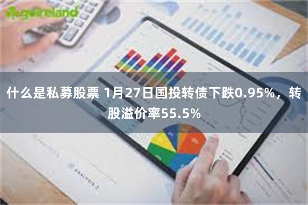 什么是私募股票 1月27日国投转债下跌0.95%，转股溢价率55.5%